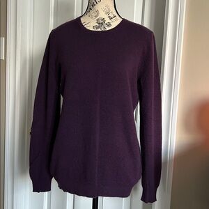 Charter Club Luxury 100% Cashmere Sweater US M
